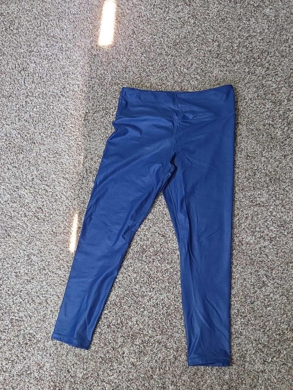 ZYIA Blue Metallic Light N Tight 24"